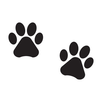 dog footprint icon isolated vector
