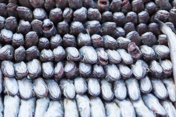 Fresh fishes and other seafood on market in Morocco ready for sell