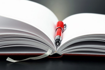 red pen lying on an open notebook.