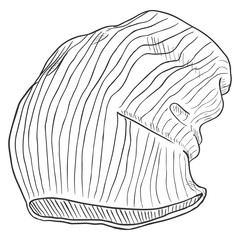 Vector Sketch Knitted Winter Cap