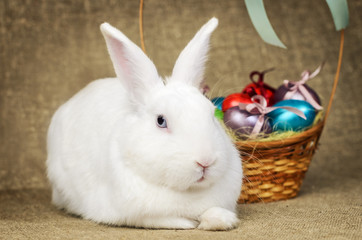 White clean beautiful Easter bunny next to a wicker basket with eggs in the background krashenyymi natural burlap cloth