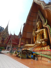 Golden buddha