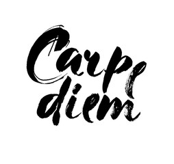 Carpe diem. Hand-lettering using a brush inspirational quote isolated on white background. Vector calligraphy art.