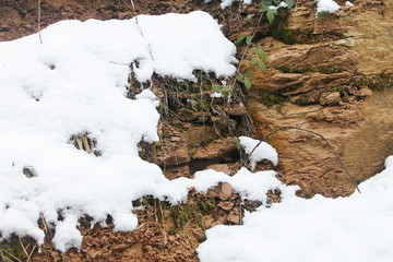 A piece of land with melting snow.