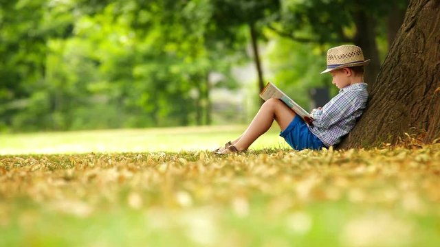 Little boy reading a book sitting at the foot of a big linden tree