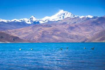 Beautiful landscape picture of Yamdrok lake in Tibet