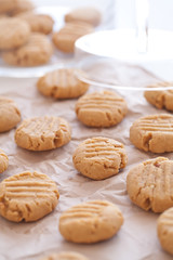 Biscuit 