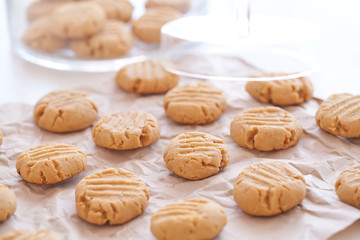 Biscuit 