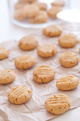 Biscuit 