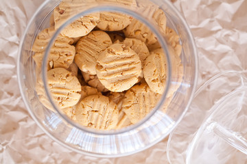 Biscuit 