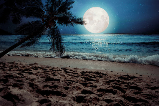 Beautiful fantasy tropical beach with star and full moon in night skies (seascape) - Retro style artwork with vintage color tone