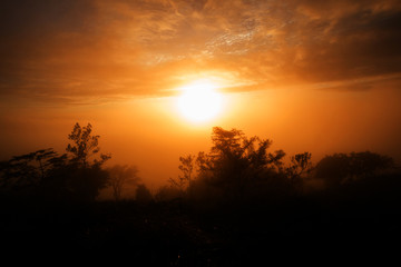Fototapeta na wymiar first rays of the rising sun on Mountain. Dreamy fogy landscape, spring orange pink misty sunrise 