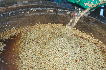 Red berries coffee bean process in factory
