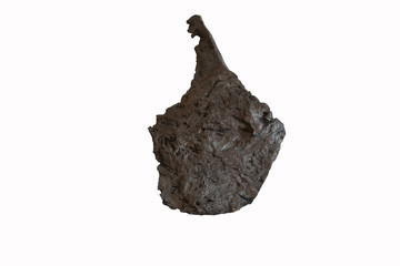 Gibeon meteorite isolated on white background