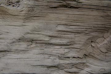 Naklejka premium Background. Rustic wooden planks with visible grain
