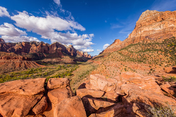 Breathtaking view of the canyon. The rays of the sun illuminate red cliffs. Zion National Park, Utah, USA