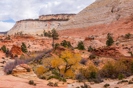 Breathtaking view of the orange cliffs. Amazing mountain landscape. Zion National Park, Utah, USA