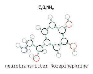 C8O3NH11 Norepinephrine molecule