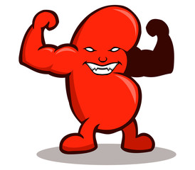 strong kidney