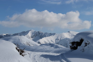 Fototapeta na wymiar Alps altitude