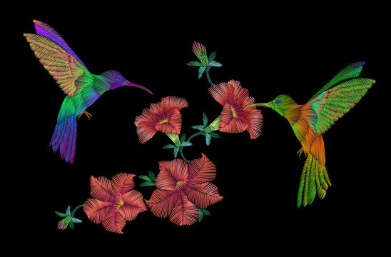 Embroidery hummingbird birds flying over petunia flowers. Crewel patch on black background. Vector illustration floral ornate decoration