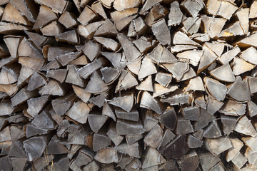 Background of beechwood