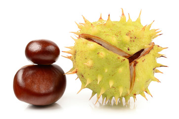 Chestnuts on a white background