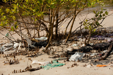 déchets plastiques et pollution
