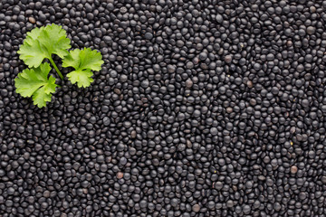 Food and cookery background of healthy dried  black lentils.