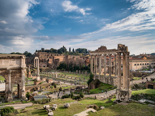 Fototapeta na wymiar Forum Romanum, Rome, Italy