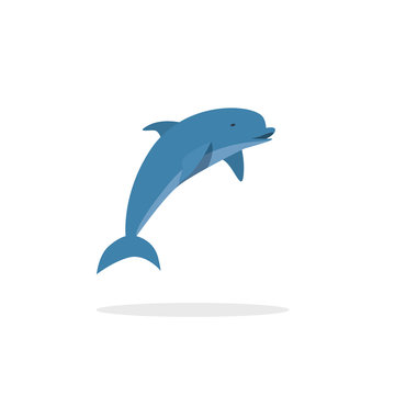 Dolphin vector illustration, flat style jumping happy dolphin isolated on white background