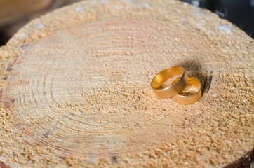 Gold wedding rings lie on a natural wood sawing close up