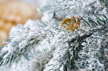 Fototapeta premium Gold wedding rings lie on the branches of the Christmas tree in the snow