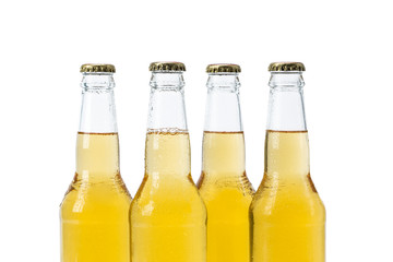 Set of beer bottles isolated