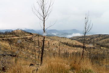 DÍA DE NUVES © MONS GUERRERO