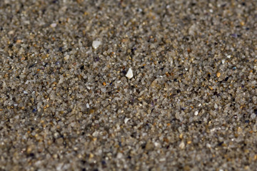 Macro shot of wet sand on the beach. Shallow depth of field