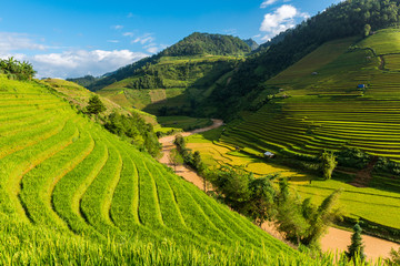 Beautiful landscape Rice fields on terraced of Mu Cang Chai, YenBai, Vietnam.