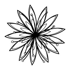 spring flowers icon image, vector illustration design