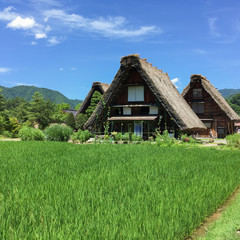 Fototapeta na wymiar Gassho-zukuri house , Historic Village of Shirakawa-go in summer 