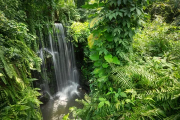 Foto auf Alu-Dibond Wasserfall im Dschungel © jimmyan8511