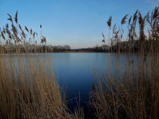 &eacute;tangs de la dombes