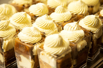 Tiramisu dessert