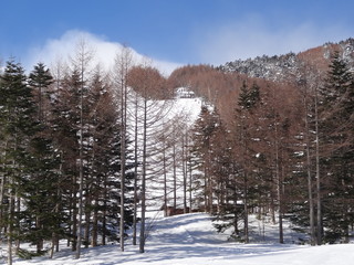 Snow season in JAPAN