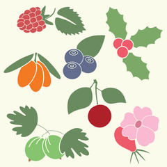 Berries Illustrations