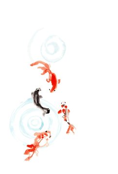 金魚 Images Browse 11 4 Stock Photos Vectors And Video Adobe Stock