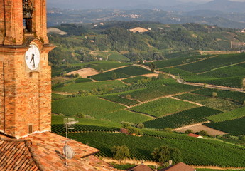 Weinberge im Piemont mit Kirchturm im Vordergrund