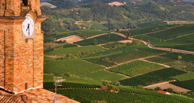 Weinberge im Piemont mit Kirchturm im Vordergrund
