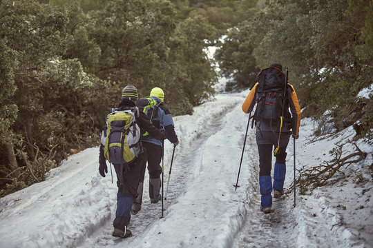 Group of hikers climbing a snowy hill