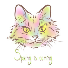 Spring abstract cat.