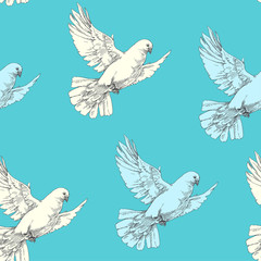 Flying Doves. Vector seamless pattern with birds in the blue sky